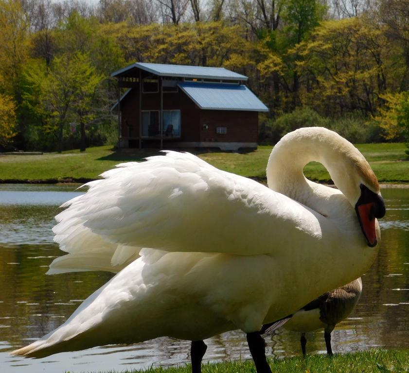 Serenity Springs - Michigan City Hotel Springfield Luaran gambar
