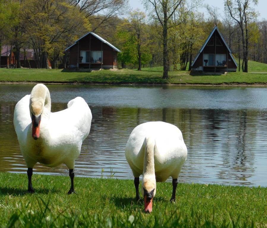 Serenity Springs - Michigan City Hotel Springfield Luaran gambar