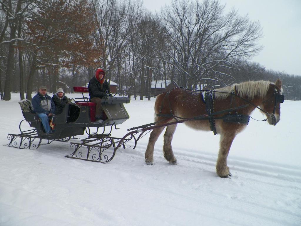 Serenity Springs - Michigan City Hotel Springfield Luaran gambar