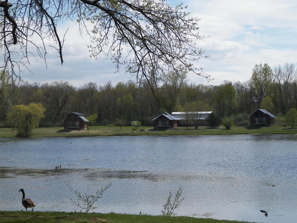 Serenity Springs - Michigan City Hotel Springfield Luaran gambar